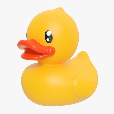 duck.jpg